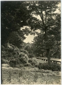 Photograph of garden at Beaconfield