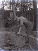 Glass negative of one of Baker family men sawing branch