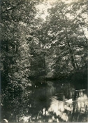 Photograph of pond at Beaconfield.