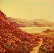 Glass plate, tinted yellow, of hills and woods