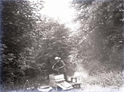 Glass negative showing bee-hive at Beaconfield.