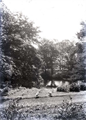 Glass negative of grounds of Beaconfield, with pond