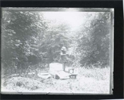 Print from glass negative, working with beehive at Beaconfield.