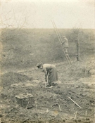 Photograph of  working in garden at Beaconfield.