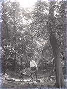 Glass negative of work in garden at Beaconfield.