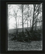 Print from glass negative, work in garden at Beaconfield.