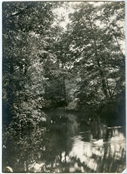 Photograph of pond at Beaconfield.