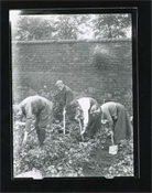 Print from glass negative, Baker family in garden.