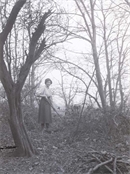 Glass negative of woman gardening at Beaconfield