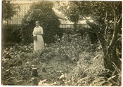 Photograph of garden at Epworth House