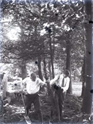 Glass negative of two men removing a sapling a Beaconfield.