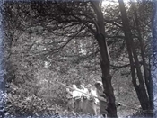 Glass negative showing five family members in the garden.