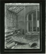 Print from glass negative of interior of conservatory at Beaconfield.