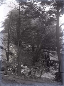 Glass negative of work in garden at Beaconfield